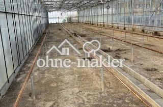 Gewerbeimmobilie mieten in 58239 Schwerte, Lagerflächen zu vermieten 1x 540m² 1x 1080m² 1x 2080m²