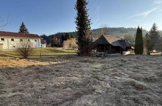 Immobilie kaufen in 79872 Bernau, Herziges Baugrundstück für den Häuslebau in naturnaher Lage inkl. besonderem Gerätehaus