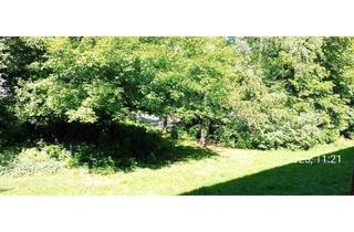 Wohnung kaufen in 13407 Berlin, Berlin - Provisionsfreier Verkauf sanierter Wohnung von privat