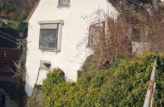 Einfamilienhaus kaufen in 72160 Horb, Horb am Neckar - Provisionsfrei* Schönes Einfamilienhaus in Horb am Neckar