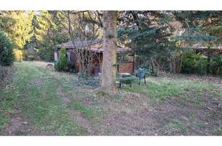 Haus kaufen in 67098 Bad Dürkheim, Bad Dürkheim - Wochenendhaus Freizeitgrundstück