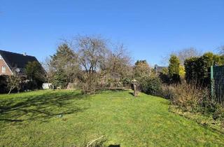 Haus kaufen in 48485 Neuenkirchen, Neuenkirchen - Ohne Maklerprovision: Großzügiges Haus mit riesigem Grundstück