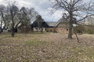 Haus kaufen in 17217 Penzlin, Penzlin - Haus im Grünen-nur 1h von Berlin, Alleinlage+großes Grundstück