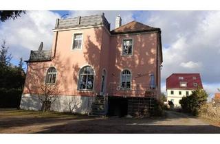 Wohnung kaufen in 06869 Coswig, Coswig (Anhalt) - Villa mit 3 Wohnungen, hochwertig saniert