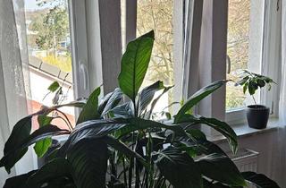 Wohnung kaufen in 64285 Darmstadt, 3-Zimmer Wohnung mit Garten im Steinbergviertel in Darmstadt