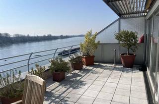 Wohnung mieten in Auf Der Ruhr, 50999 Weiß, Luxuriöse 2-Zimmer Wohnung mit Dachterrasse in Köln-Weiß