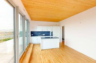 Penthouse mieten in Leonie-Ossowski-Promenade 15, 68309 Käfertal, 3-Zimmer-Penthousewohnung: Mieten und auf Ihrer neuen Dachterrasse frühstücken!