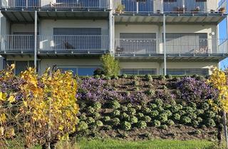 Wohnung mieten in Im Rebgärtle, 79415 Bad Bellingen, Wohnen mit Weitblick