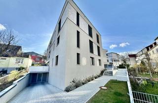 Wohnung mieten in Westerlinger Str. 35, 89077 Weststadt, Moderne 4-Zimmer Wohnung am unteren Kuhberg zu vermieten!