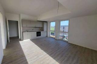 Wohnung mieten in Distelweg, 18195 Tessin, NEUBAU! Erstbezug in Tessin! 2 Zimmer mit Tageslichtbad!