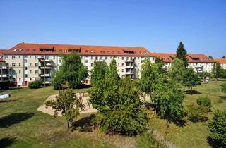 Wohnung mieten in Toeplerstraße 58, 01279 Tolkewitz/Seidnitz-Nord, Tolkewitz, ruhig & grün: Balkon + Wanne