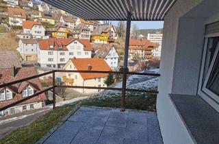 Wohnung mieten in Breiteneckweg, 78148 Gütenbach, Schöne 1 Zimmer Wohnung mit EBK, Terrasse und Stellplatz in 78148 Gütenbach, WM:435€