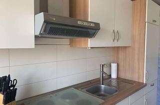 Wohnung mieten in 74889 Sinsheim, Charmantes 1-Zimmer Apartment in Sinsheim