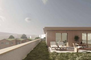 Penthouse mieten in 72336 Balingen, Neubauprojekt - Wohnen am Stutzenweiher! 3-Zi.-Penthouse-Wohnung mit EBK und Terrasse!