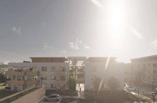 Wohnung mieten in 72336 Balingen, Neubauprojekt - Wohnen am Stutzenweiher! 3-Zi.-Wohnung mit EBK und Balkon!