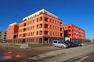 Wohnung mieten in Katharinenweg, 17489 Nördliche Mühlenvorstadt, Wohnung mit Wohnberechtigungsschein 1.Förderweg