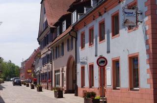 Haus kaufen in Hebelstraße, 79189 Bad Krozingen, Neubau-Highlight in Bad Krozingen: KfW 40 QNG mit 5 % Sonder-AfA möglich