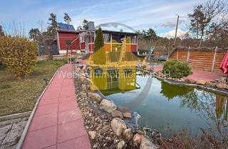 Haus kaufen in 06502 Westerhausen, ***GRÜNE OASE MIT TOLLEM POOL UND TEICH***