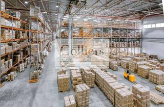 Gewerbeimmobilie mieten in 76437 Rastatt, Logistikflächen