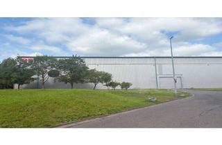 Gewerbeimmobilie kaufen in Niedernhofstraße, 58099 Boele, Schwerlast-Lager- und Logistikhalle in Hagen