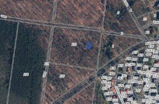 Anlageobjekt in 16348 Wandlitz, verkaufen Waldgrundstück unweit von Wandlitz