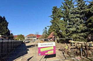 Grundstück zu kaufen in 16356 Ahrensfelde, OHNE BAUBINDUNG | Provisionsfreies Grundstück für EFH und ZFH in Ahrensfelde