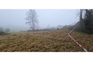 Grundstück zu kaufen in Habelsbach 70, 84082 Laberweinting, Traumhaftes Baugrundstück mit ca. 1001 m² für EFH oder ZFH in Laberweinting-Habelsbach