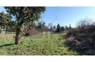 Grundstück zu kaufen in 06796 Brehna, Idylisches Wohnbaugrundstück zu verkaufen