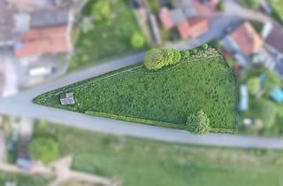 Grundstück zu kaufen in Neue Straße / Alte Straße, 31855 Aerzen, Bauland in zentraler Dorflage