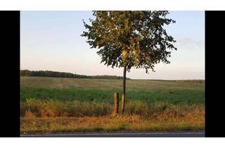 Grundstück zu kaufen in 16348 Wandlitz, Baugrundstück mit Seeblick in Wandlitz