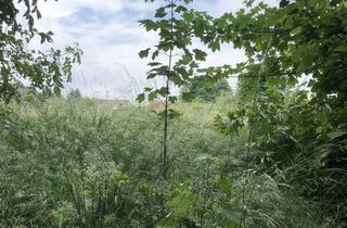 Grundstück zu kaufen in Lindenallee, 38372 Büddenstedt, Traumgrundstück (bauträgerfrei) in idyllischer Dorflage, ideal für Natur- und Tierliebhaber