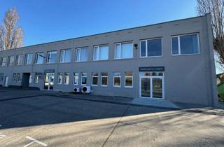 Büro zu mieten in Otto-Stomps-Straße 100, 06116 Diemitz, Vermietung Bürofläche in Halle (Saale) - Erstbezug nach Renovierung