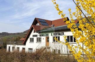 Immobilie kaufen in 77887 Sasbachwalden, Ehemaliges Weingut mit einzigartigem Grundstück (ca. 35.500 m²) und vielfältigen Möglichkeiten