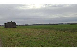 Gewerbeimmobilie kaufen in 38176 Wendeburg, Landwirtschaftlicher Streubesitz in den Gemarkungen Sophiental und Woltorf