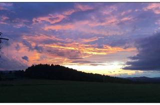 Gewerbeimmobilie kaufen in Trametsried, 94261 Kirchdorf im Wald, 15309 m² Ökoausgleichsfläche- Landwirtschaftliche Fläche in Kirchdorf-Trametsried