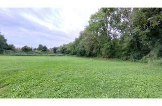 Gewerbeimmobilie kaufen in Lindacherweg, 85669 Pastetten, 6528 m² Landwirtschaftliche-Ökoausgleichsfläche in Reithofen-Pastetten.