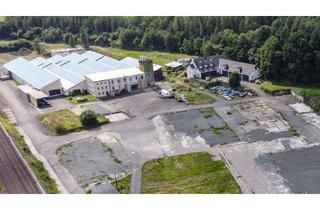 Gewerbeimmobilie kaufen in 55606 Kirn, Ehemaliges Betriebsgelände im Gewerbegebiet Kirn