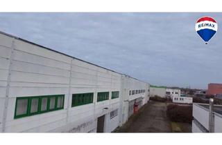 Gewerbeimmobilie kaufen in 06449 Aschersleben, Sanierungsbedürftige Gewerbehalle mit Büros und Pförtnerhaus auf ca. 58.000 m² Grundstück