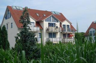 Wohnung kaufen in 04821 Brandis, Brandis: Grün, ruhig, gefragt – Kapitalanlage mit Perspektive und Balkon