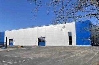 Geschäftslokal mieten in 96465 Neustadt, zwischen CO und SON ** ca. 6000 qm ** 6 Rampen ** 8 Meter Innenhöhe