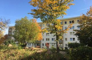 Wohnung mieten in Theodor-Heuss-Str. 13, 09648 Mittweida, WOHNEN BEI UNS + MITTWEIDA [Dachgeschoss]