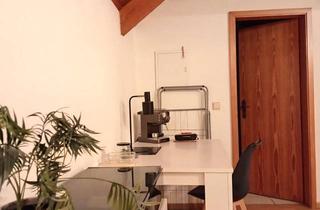 Wohnung mieten in Lauergasse, 67346 Speyer, 1,5 Zimmer in Speyer