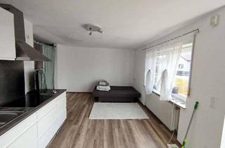 Wohnung mieten in Benedikt-Welser-Weg, 88487 Mietingen, 1-Zimmer Wohnung in Mietingen mit Einbauküche