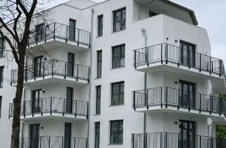 Wohnung mieten in Schlossallee, 13156 Niederschönhausen (Pankow), Erstbezug: Südgarten & Schlossparkblick. Sonnige 3-Zimmer-Wohnung in Niederschönhausen