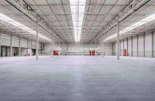 Gewerbeimmobilie mieten in 70825 Korntal-Münchingen, Multifunktionale Lager-/ Logistikimmobilie | Reifenlagerung | Provisionsfrei | Sprinkleranlage