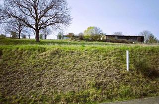 Grundstück zu kaufen in 56651 Niederzissen, ***Ihr Platz an der Sonne******Großzügiges Traumgrundstück mit Fernblick am Rodde