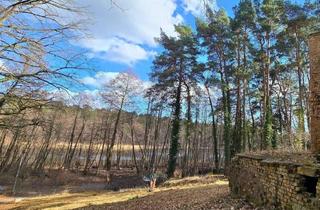Grundstück zu kaufen in 16348 Wandlitz, Einzigartiges Seegrundstück nähe Berlin