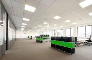 Büro zu mieten in 76532 Oos, Premium Büroetage | ca. 1.250 m². ICE-Bahnhof Baden-Baden. Single/Großraum Büros