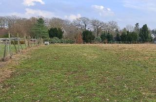 Gewerbeimmobilie mieten in 21649 Regesbostel, Kleine Weide zu verpachten in Rahmsorf