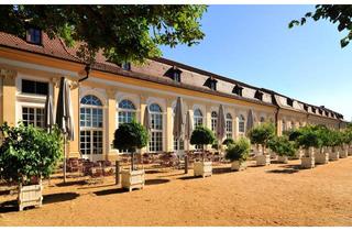Gastronomiebetrieb mieten in 91522 Ansbach, Neuverpachtung der Orangerie Ansbach - Restaurant, Café und hochwertiger Veranstaltungsort